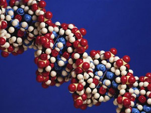 Vse prestupniki strany budut prohodit' genomnuju registraciju DNK