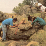 В Австралии найдены останки гигантского утконоса