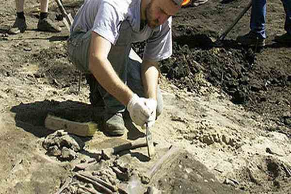 Антропологи нашли подтверждение тому, что неандертальцы занимались захоронением